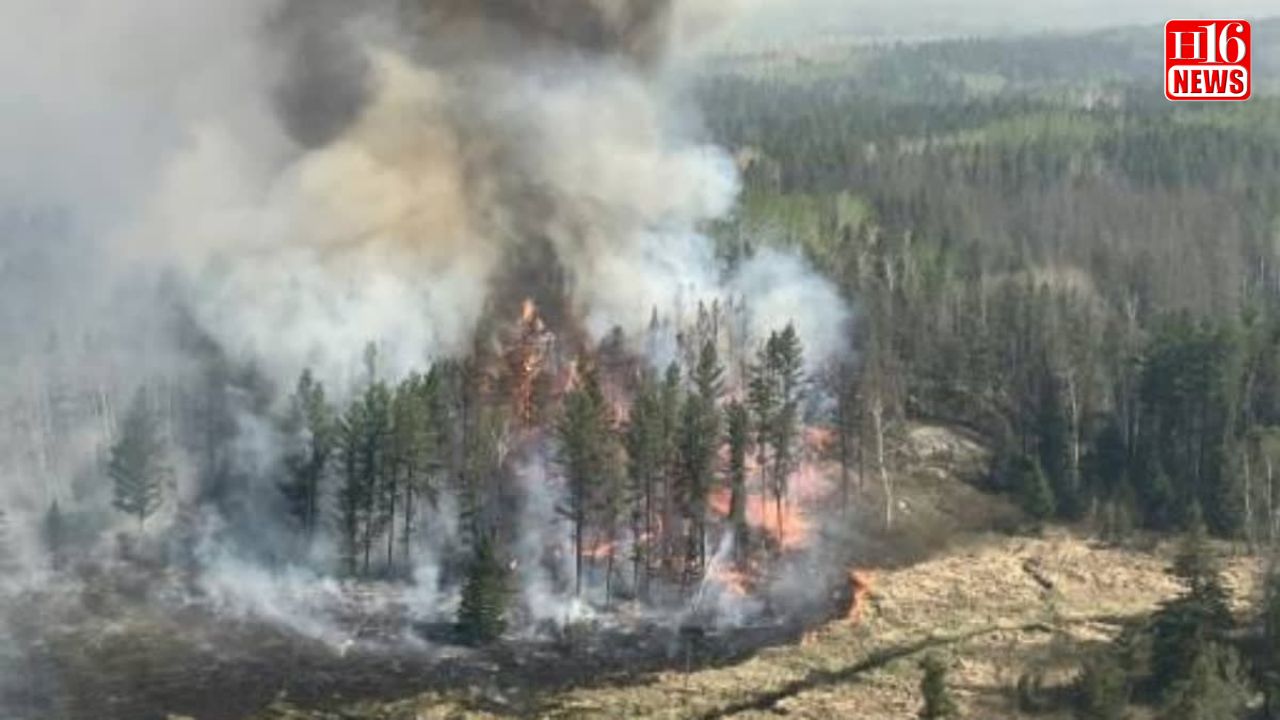 Thousands To Evacuate As Canada's Manitoba Province Declares Wildfire Emergency